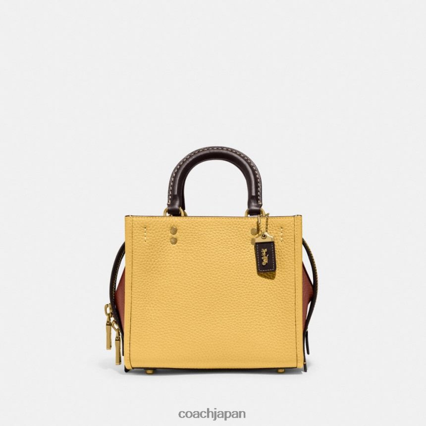 Coach 女性 カラーブロック再生レザー製ローグ 20 B4/ヘイマルチ TZL40281