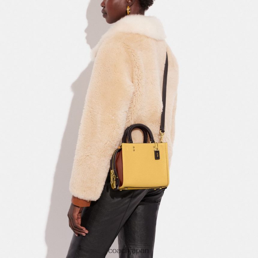 Coach 女性 カラーブロック再生レザー製ローグ 20 B4/ヘイマルチ TZL40281