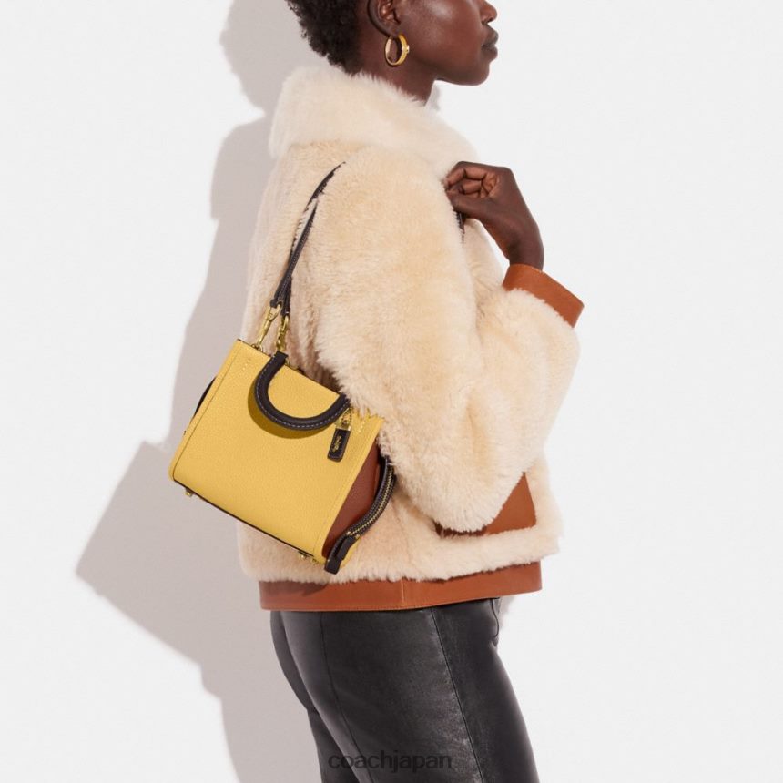 Coach 女性 カラーブロック再生レザー製ローグ 20 B4/ヘイマルチ TZL40281