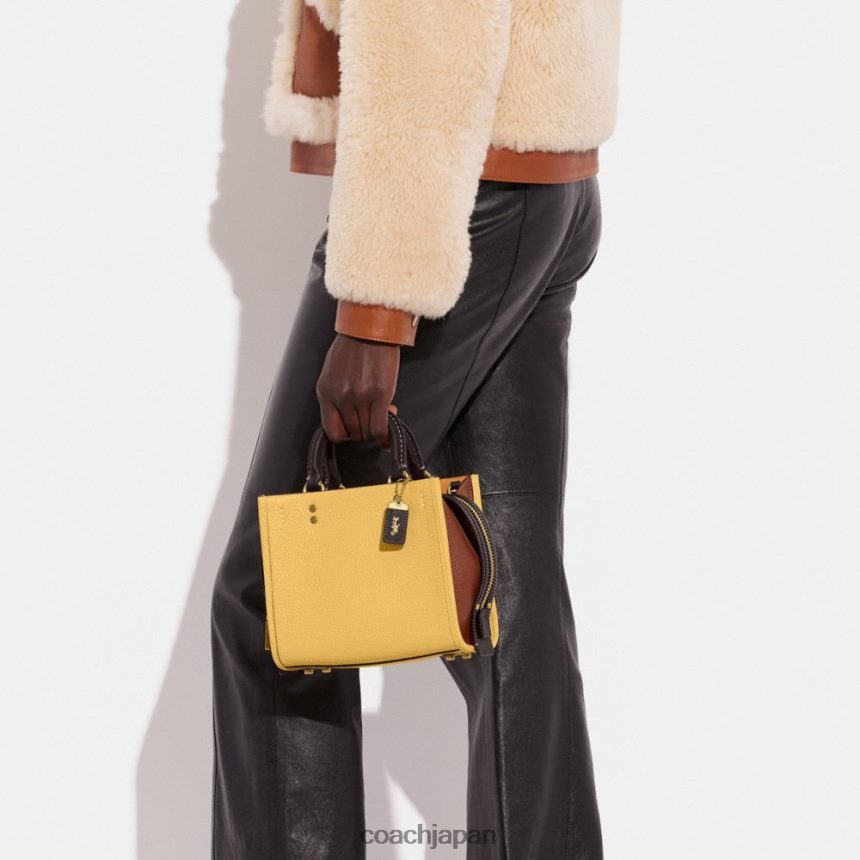 Coach 女性 カラーブロック再生レザー製ローグ 20 B4/ヘイマルチ TZL40281